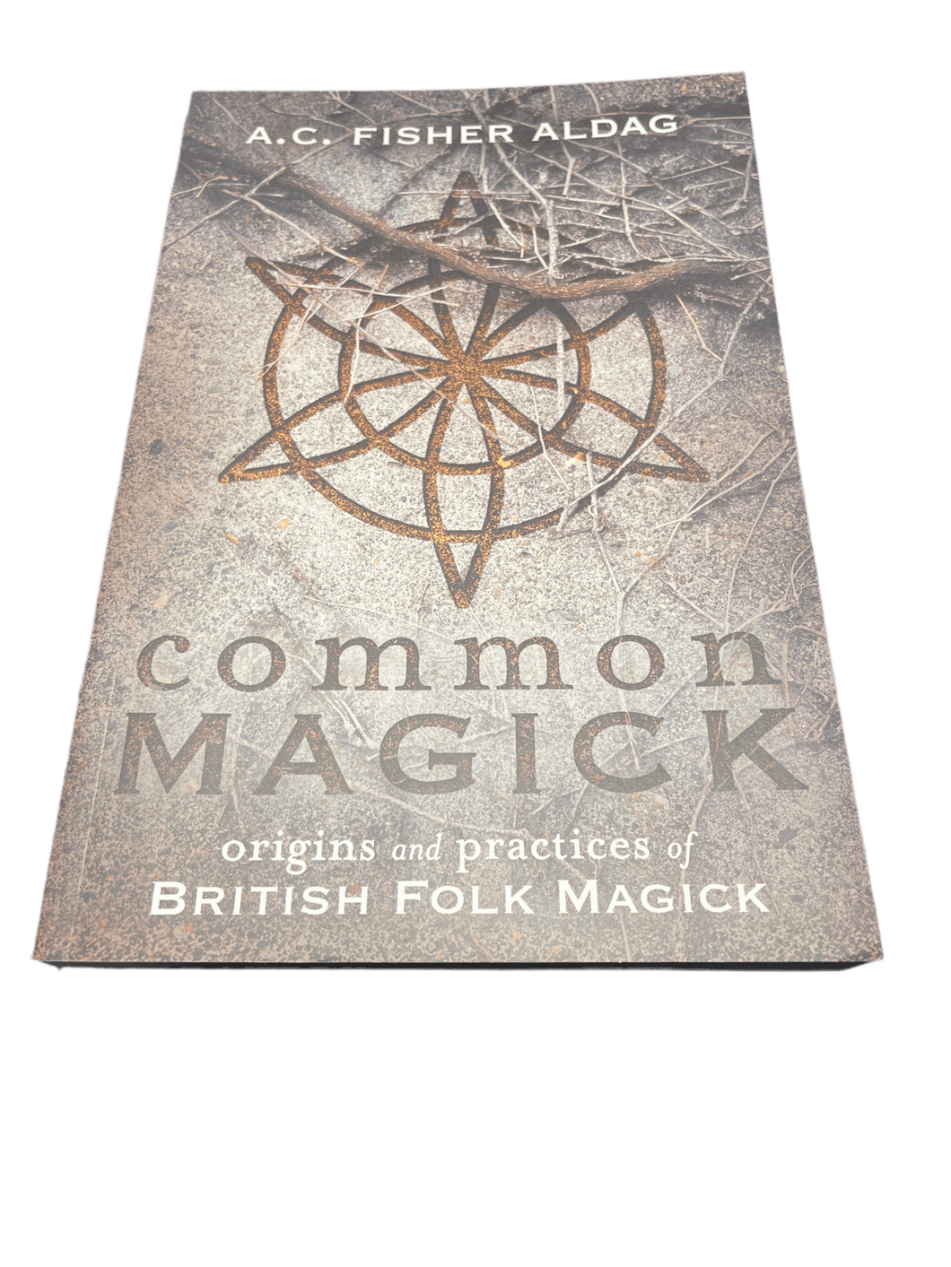 Common Magick by A.C. Fisher Aldag - Witch Chest