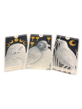 Load image into Gallery viewer, The Avian Tarot By Brittany Lyn Batchelder - Witch Chest