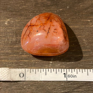 Carnelian (Large) - Brazil - Witch Chest